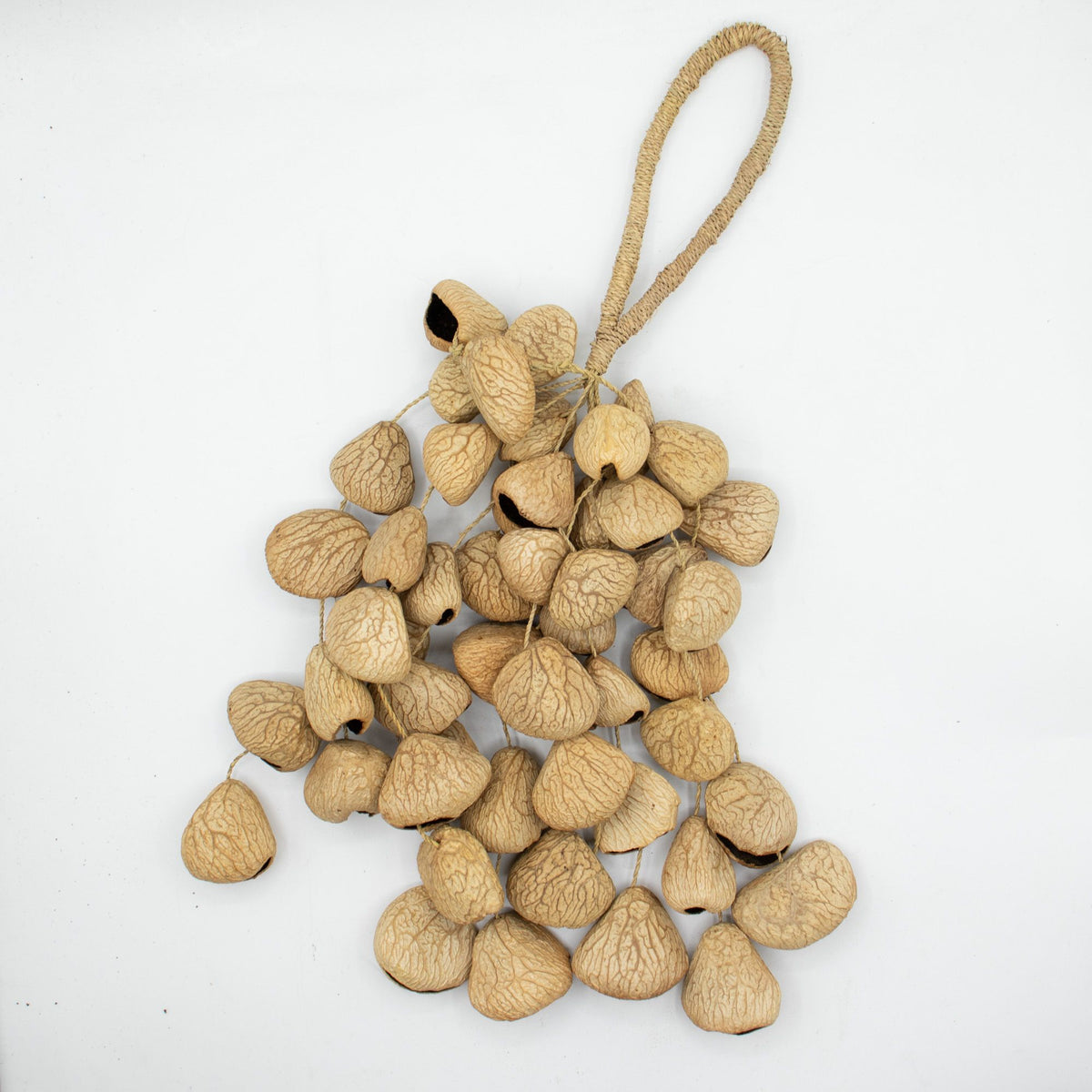 Strand of pangi seed shells hanging vertically from its cord against a pale wall - view 5