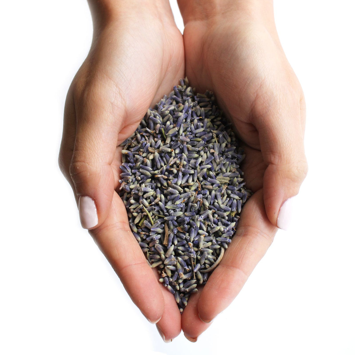 Lavender Flowers (1KG) - view 4
