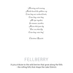 Agnes + Cat Botanical Soy Wax Candle - Fellberry - view 5