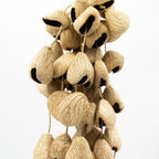 Strand of pangi seed shells hanging vertically from its cord against a pale wall - view 8