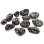 Medium African Tumble Stones - Guinea Fowl Medium (Pack of 12)