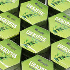 Pack of 10 Masala Backflow Incense - Eucalyptus - view 3