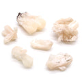 Stilbite with Apophyllite Specimens (Pack of 6)