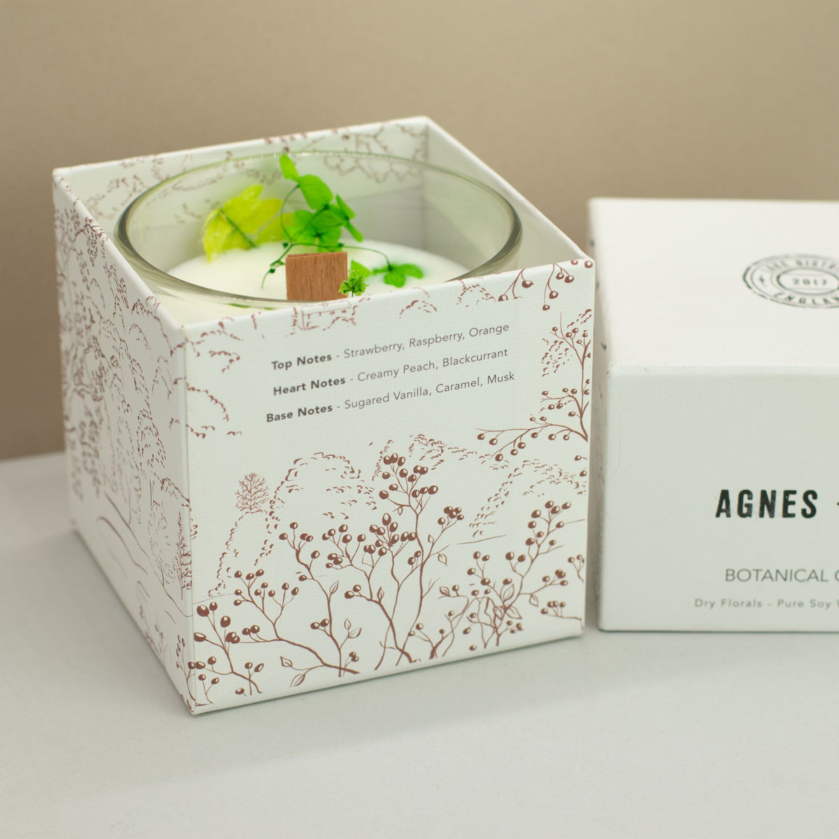 Agnes + Cat Botanical Soy Wax Candle - Fellberry - view 10