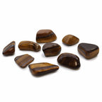 L Tumble Stones - Tiger Eye - Gold (Pack of 24)