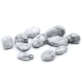 L Tumble Stones - Howlite, White (Pack of 24)