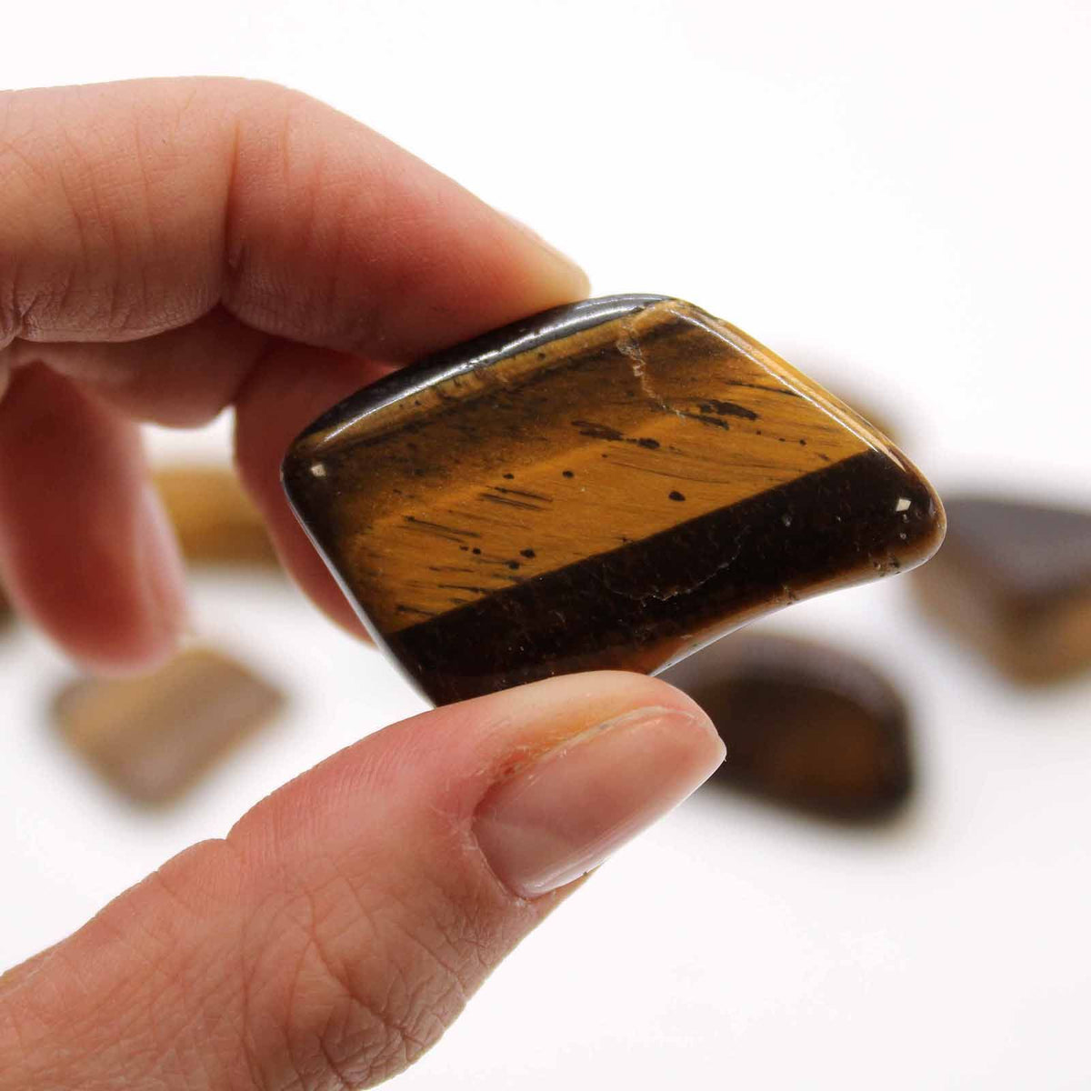 L Tumble Stones - Tiger Eye - Gold (Pack of 24) - view 2