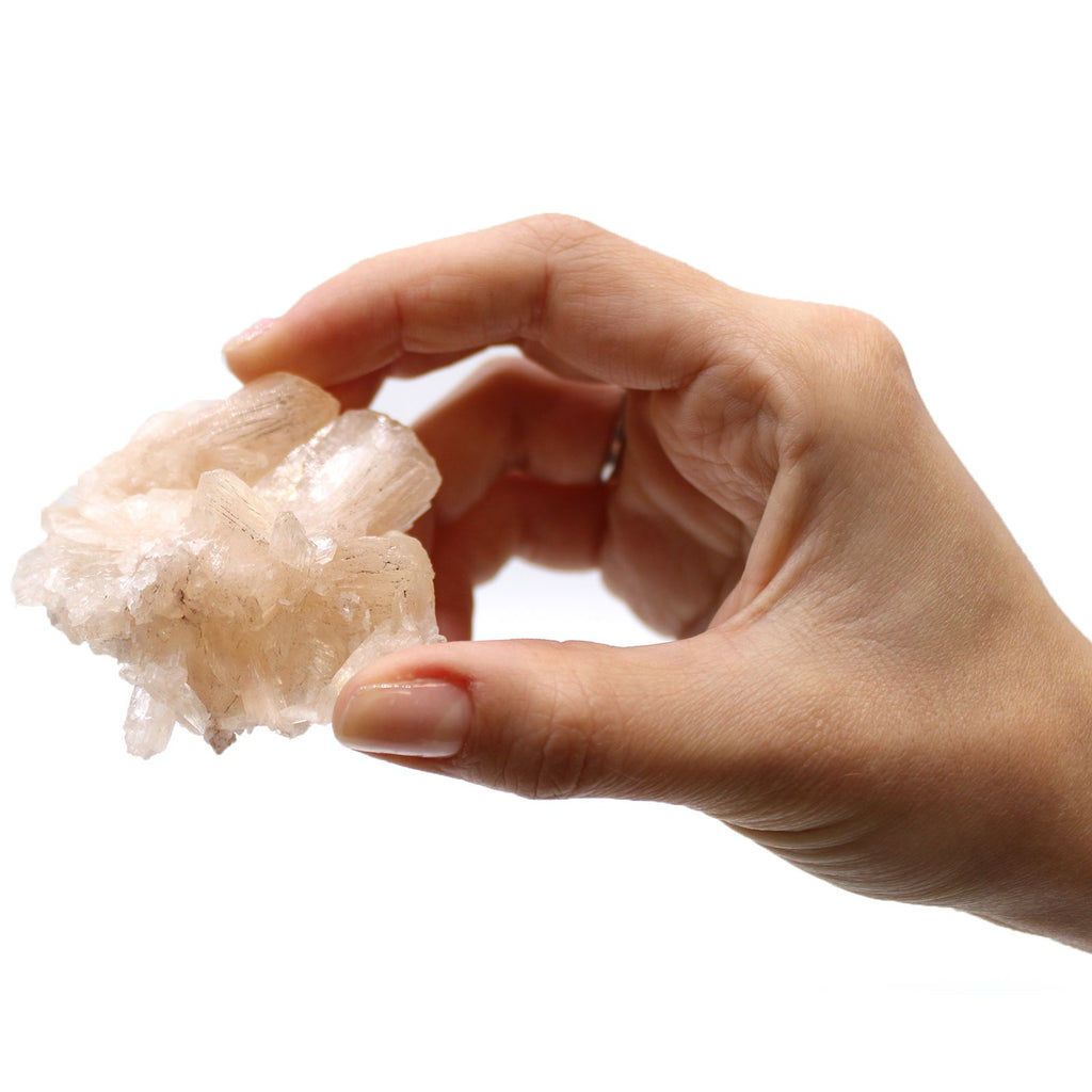 Stilbite with Apophyllite Specimens (Pack of 6) - view 3