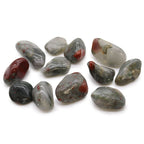 Medium African Tumble Stones - Bloodstone - Sephtonite (Pack of 12)