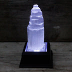 Natural Selenite Tower - Small - view 3