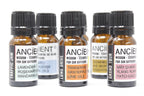 10ml Aromatherapy Car Blend - Family Trip - view 2