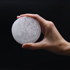 Small round selenite charging plate engraved with the Tree of Life - view 2