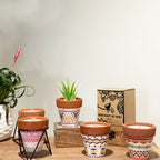 Agnes + Cat Herb Garden Candles - Clove - view 5