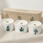 Set of 3 Medium Scented Soy Candles Mulberry Harvest - Wooden Wick Botanical Candles in Ceramic Jars