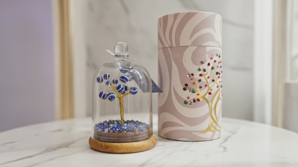 Evil eye on lapis gemstone dome garden with gift tube, slow product video