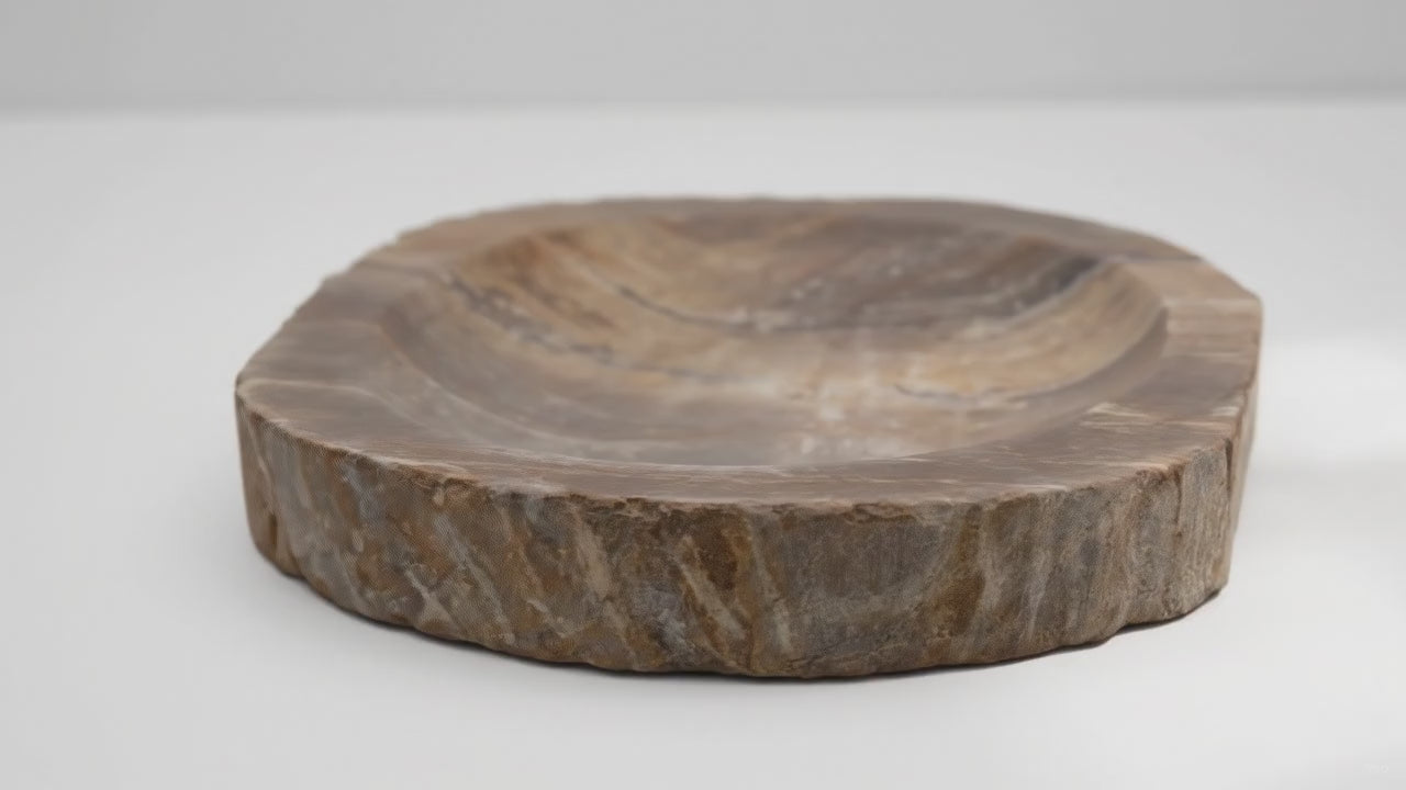 Video of the petrified wood soap dish, with the camera slowly moving around it
