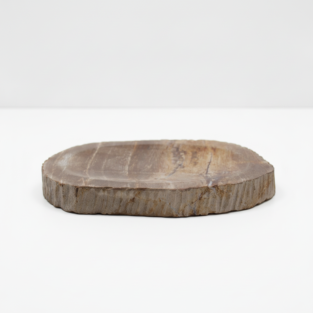 Petrified wood soap dish on a clean white surface against a white wall