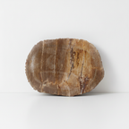 Petrified wood soap dish on a clean white surface against a white wall
