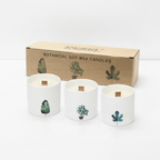 Set of 3 marsh viola botanical candles on a clean white surface against a white wall