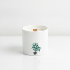 Set of 3 marsh viola botanical candles on a clean white surface against a white wall