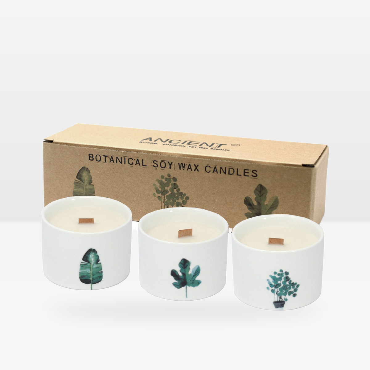 Set of three Mulberry Harvest botanical soy wax candles in front of their gift box, on a white table against a white wall