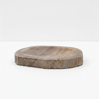 Petrified wood stone soap dish on a white surface